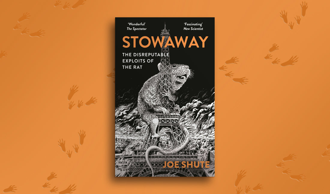 Stowaway: A Guest Post by Joe Shute