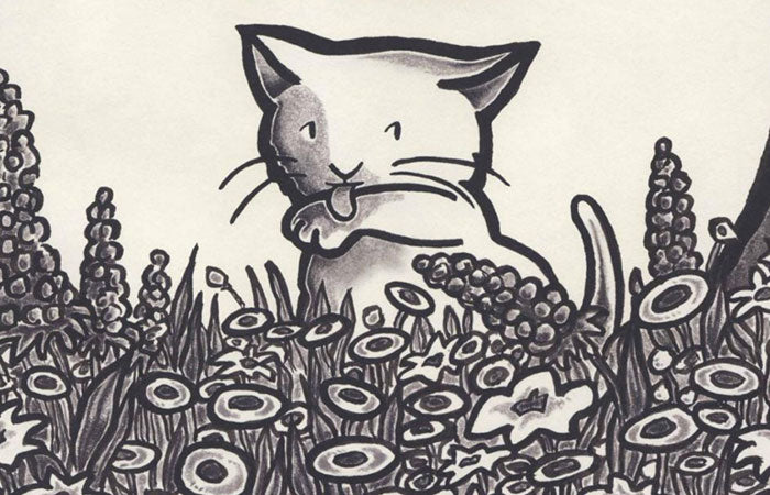 5 Quick Picture Books for a Speedy Bedtime