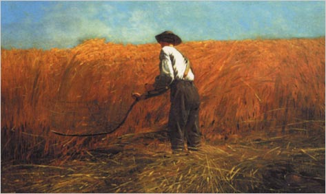 Workers’ Compensations