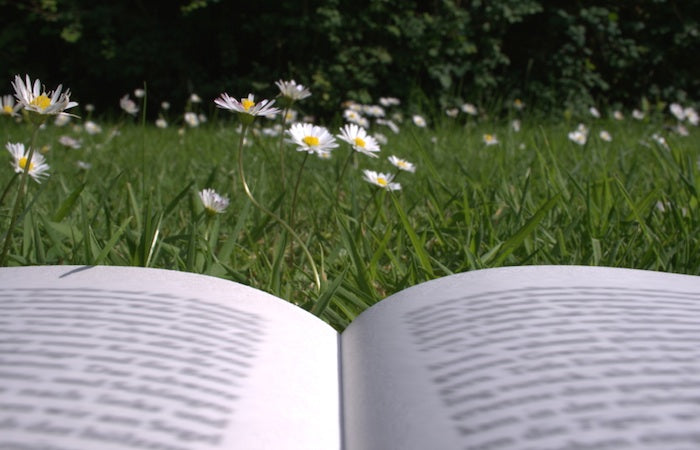 Quiz: Which YA Summer Release Should You Read Next?