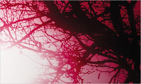 Red Moon
