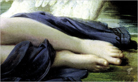 The Swan Thieves