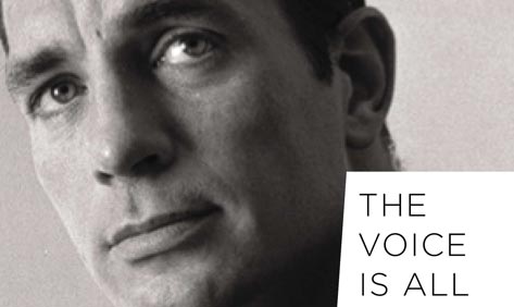 The Voice Is All