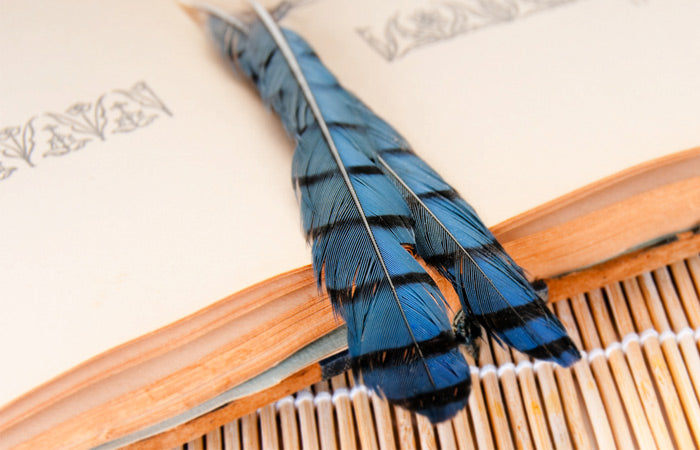 What Your Bookmark Says About You