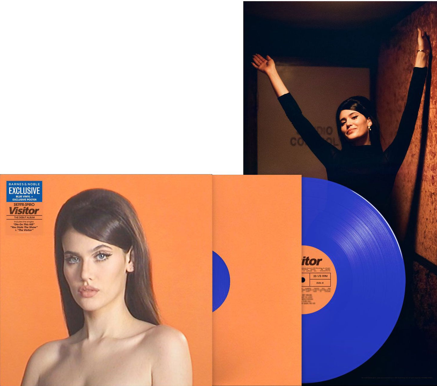 Visitor [Blue Vinyl + Poster] [Barnes & Noble Exclusive]