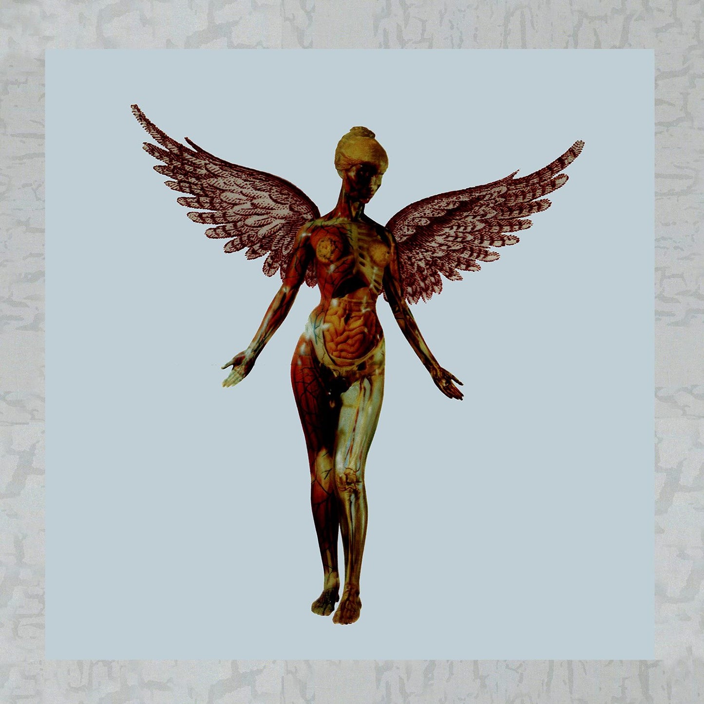 In Utero [30th Anniversary Super Deluxe Edition]