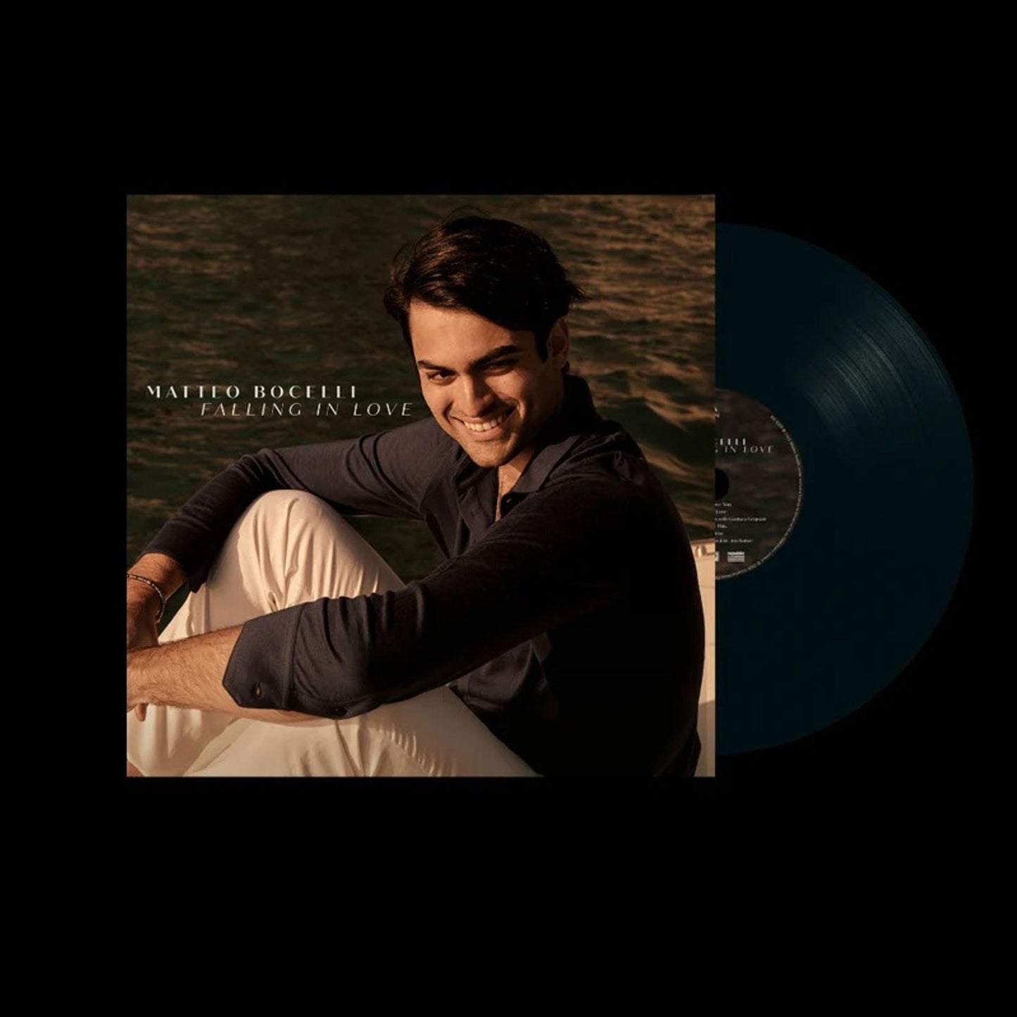 Falling in Love [Black Vinyl]
