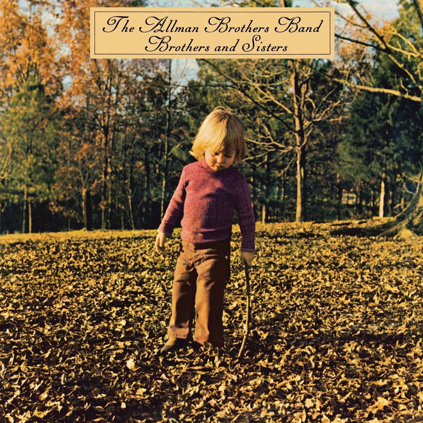 Brothers and Sisters [LP]