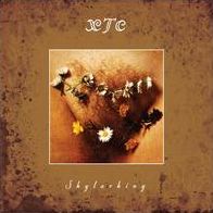Skylarking:Corrected Polarity Edition (Xtc)