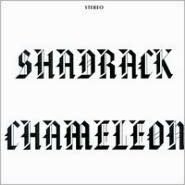 Shadrack Chameleon