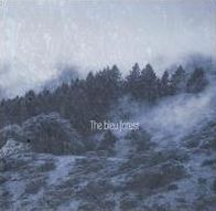 Thousand Trees