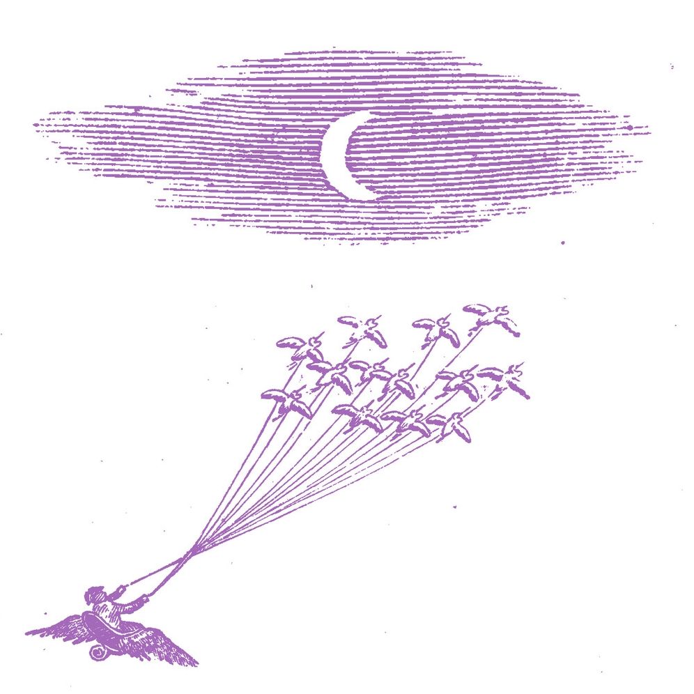 Migration Magic