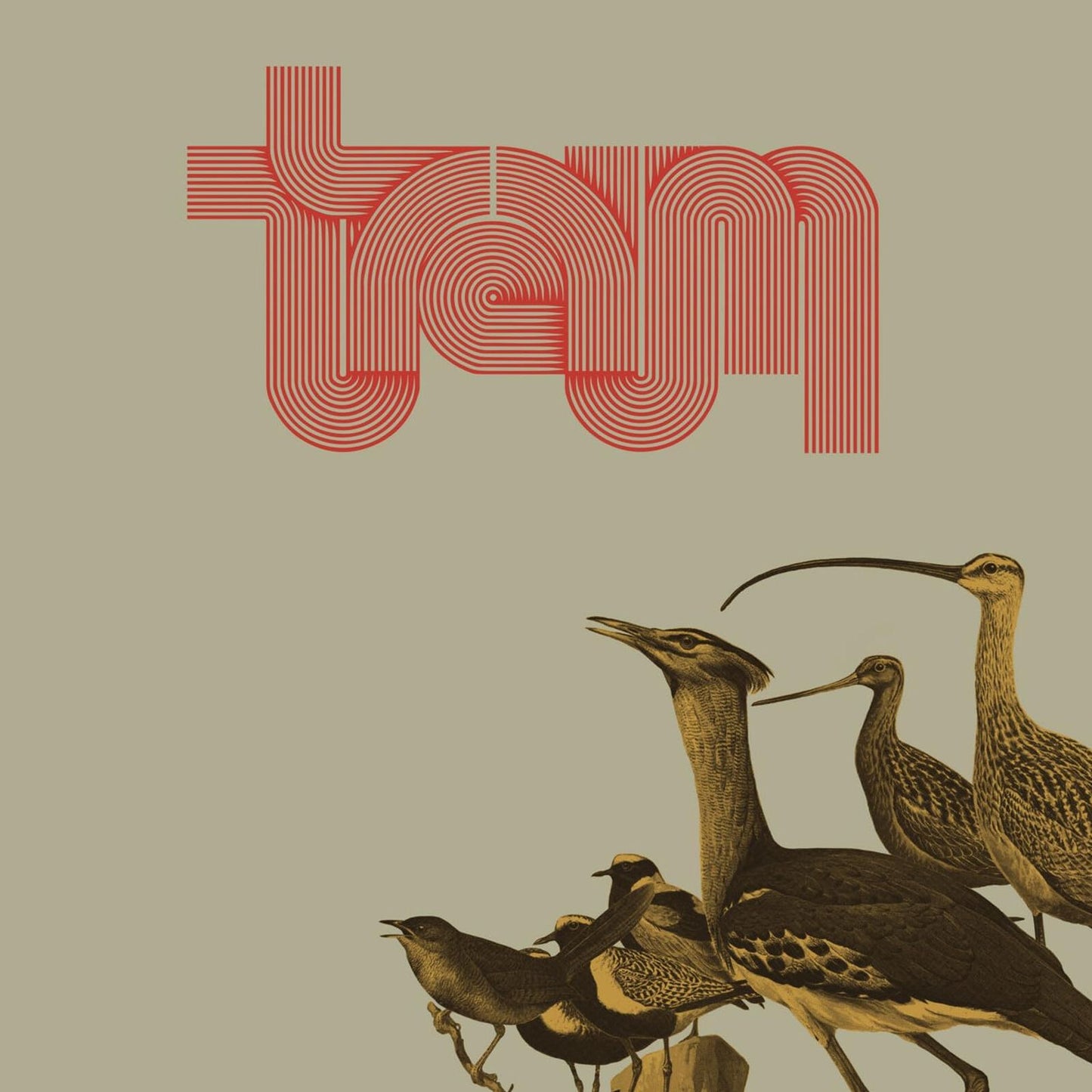 Traum [Red Vinyl]