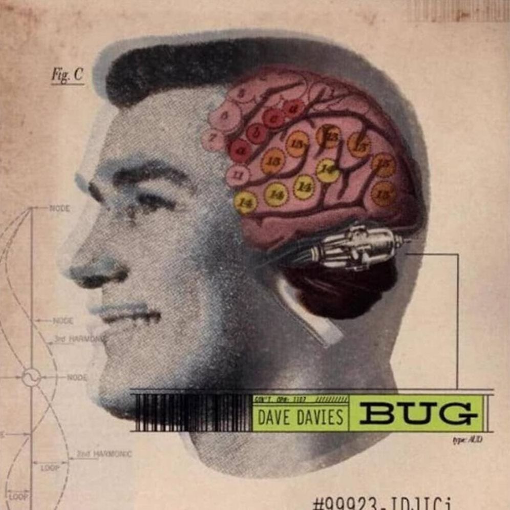 Bug