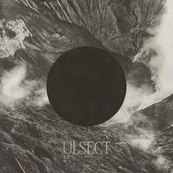 Ulsect