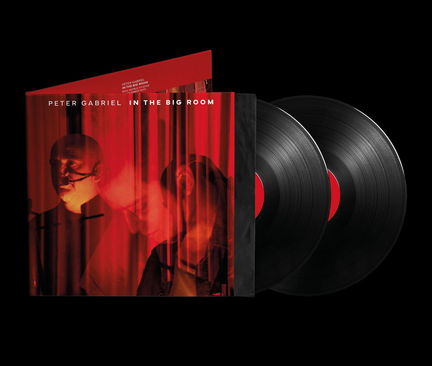 In the Big Room [180g 2 LP]