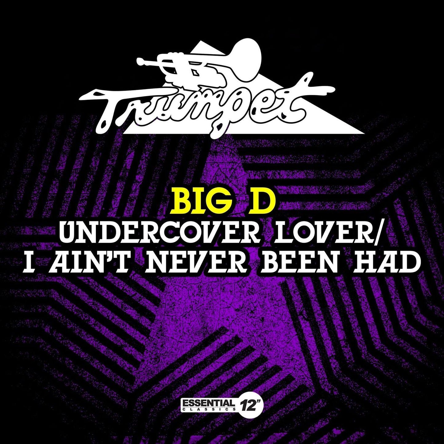 Undercover Lover