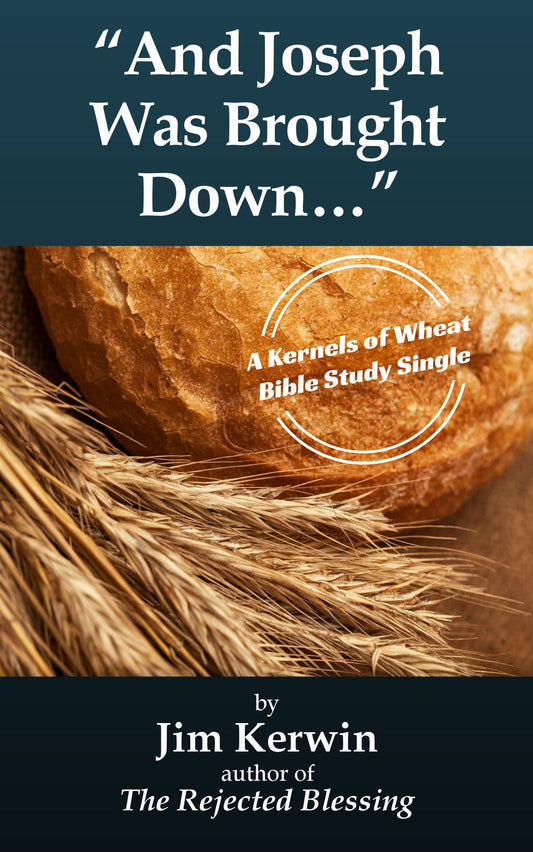 "And Joseph Was Brought Down..."