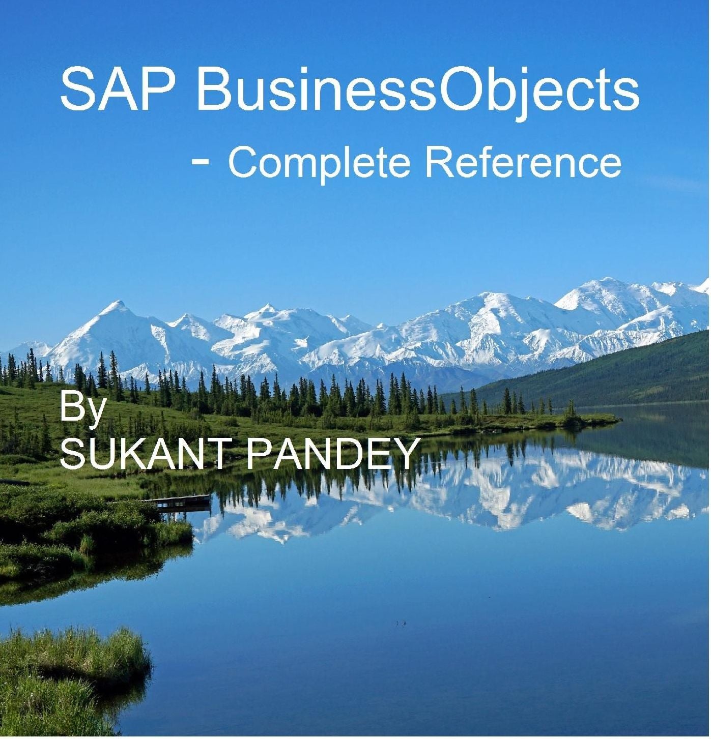 SAP BusinessObjects Data Services - Complete Reference