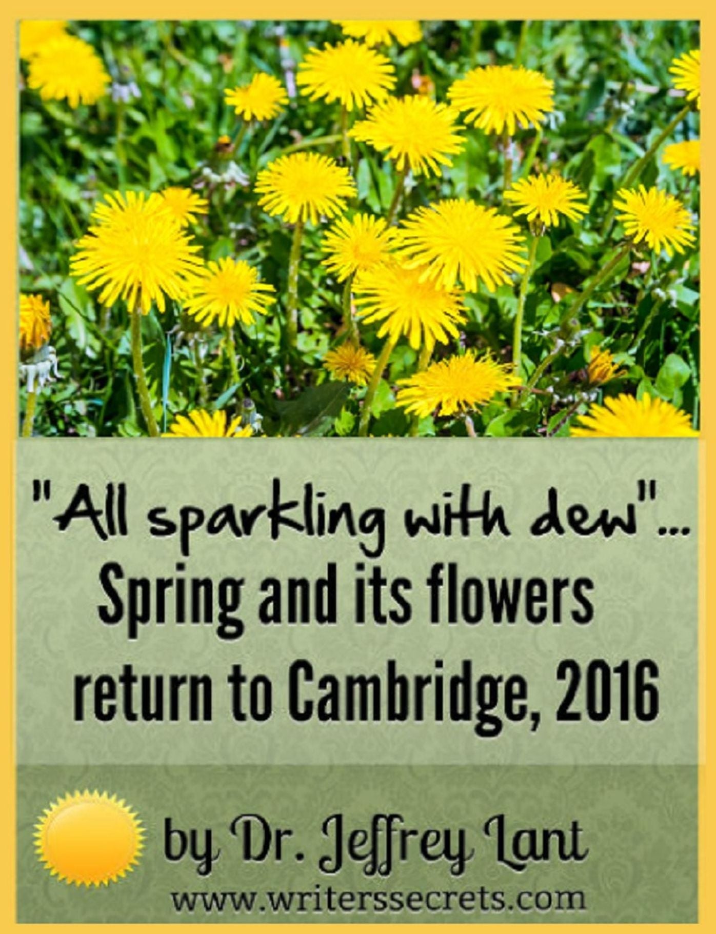 "All sparkling with dew"... Spring and its flowers return to Cambridge, 2016 (Flower Power, #1)