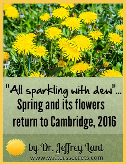 "All sparkling with dew"... Spring and its flowers return to Cambridge, 2016 (Flower Power, #1)