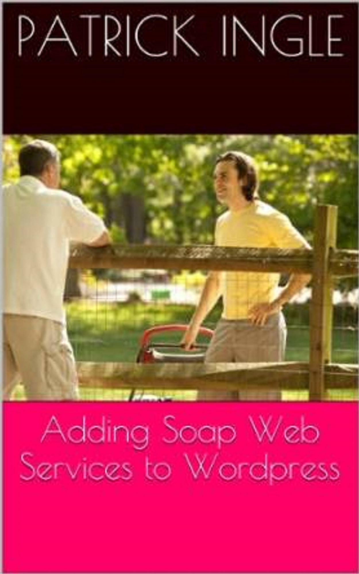 Adding SOAP Web Services to WordPress