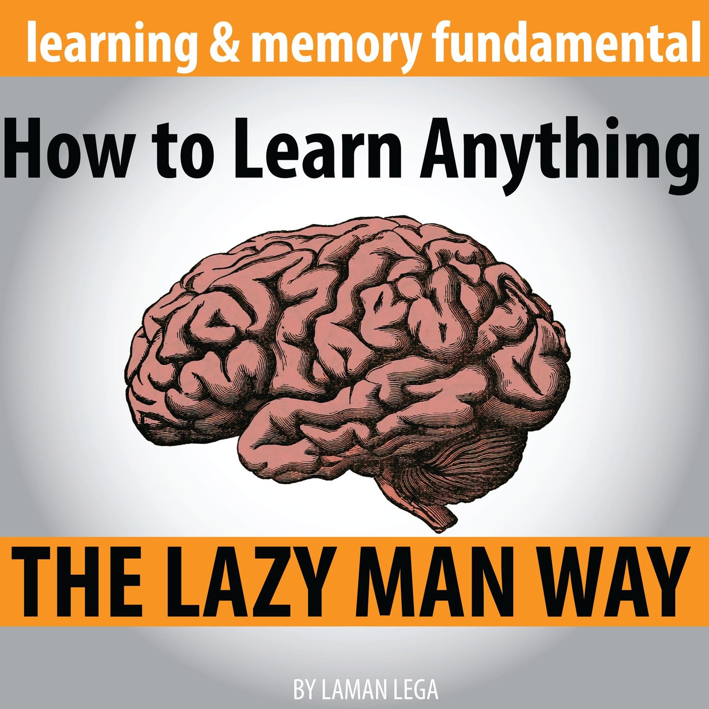 How to Learn Anything
