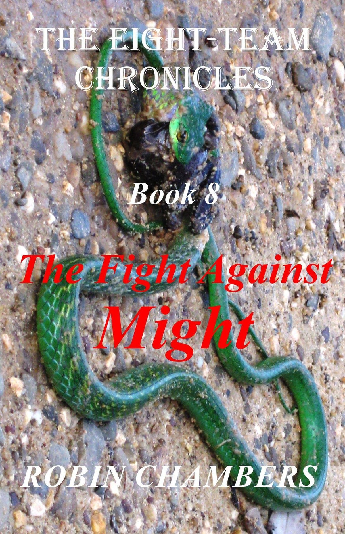 The Fight Against Might (The Eight-Team Chronicles, #8)