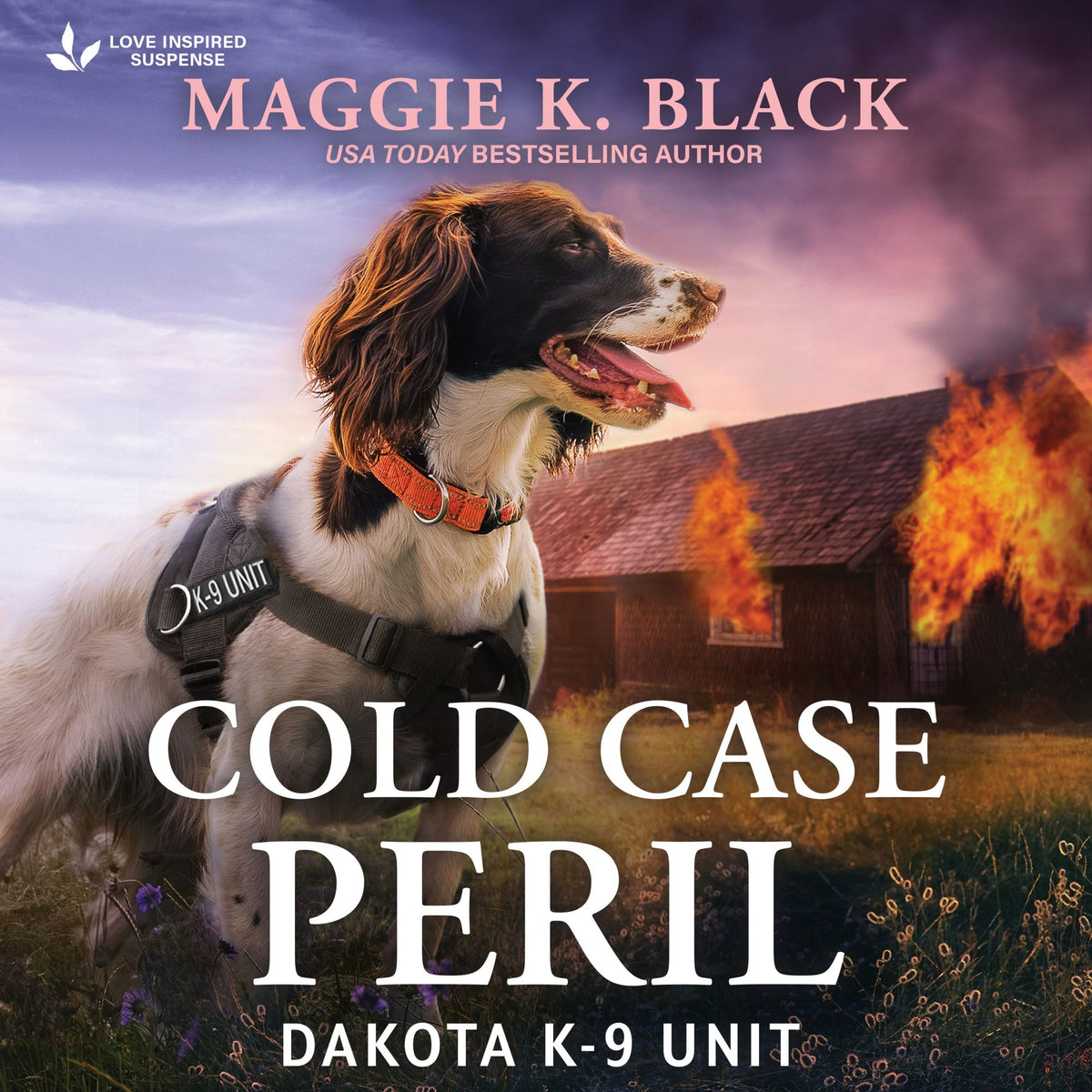 Cold Case Peril