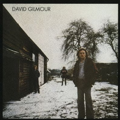 David Gilmour