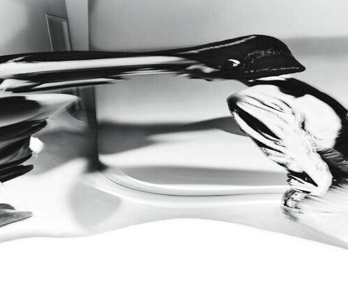 LP.8 [White Vinyl]