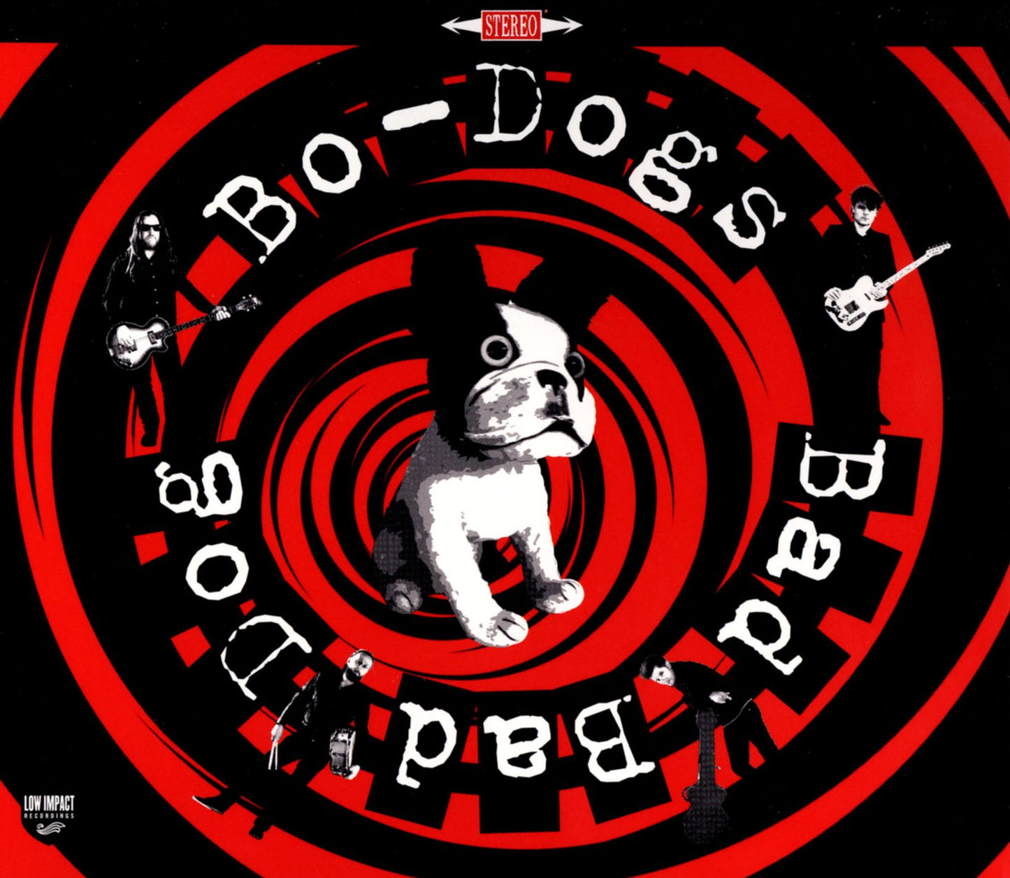 Bad Bad Dog!