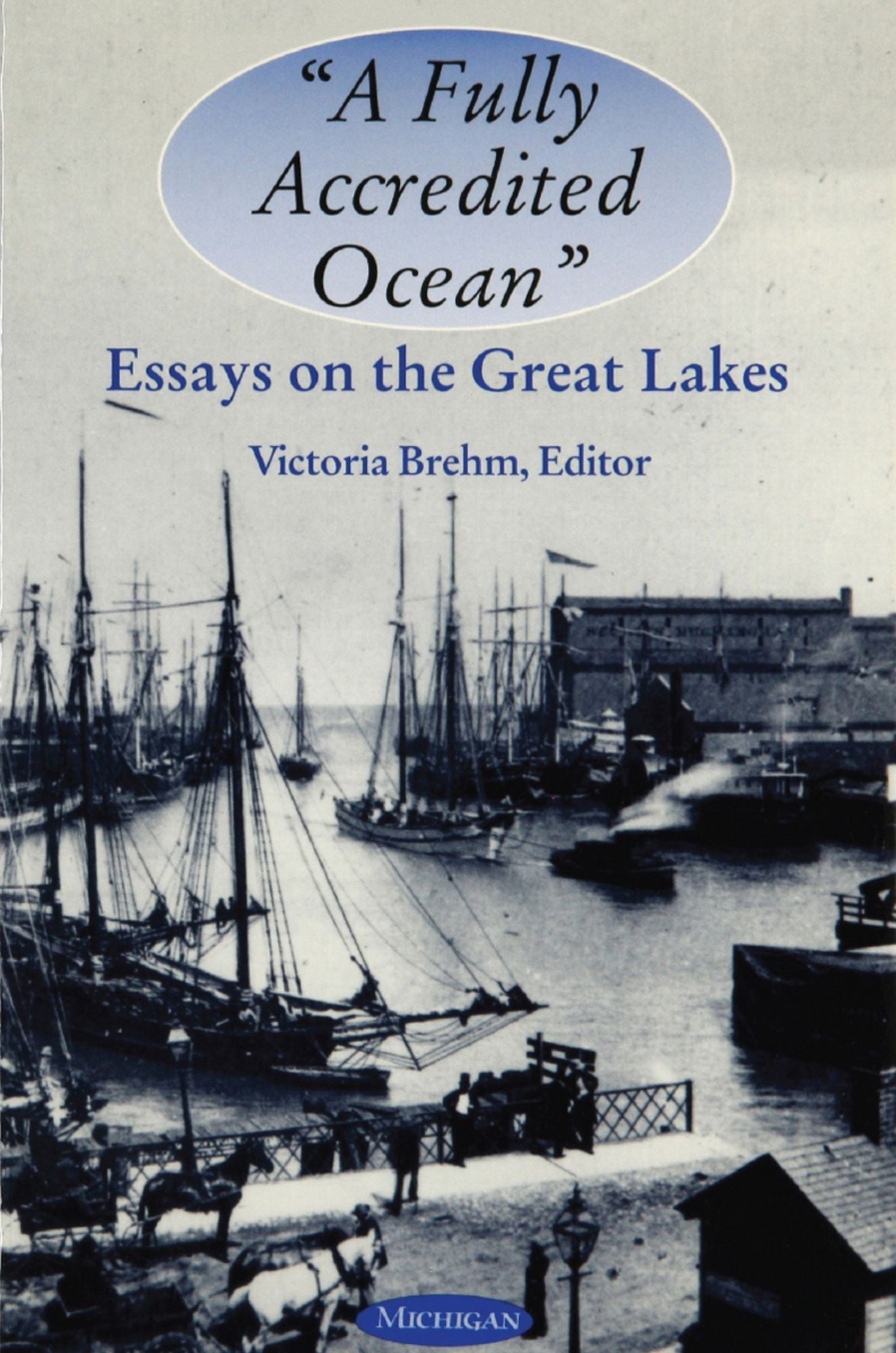 "A Fully Accredited Ocean": Essays on the Great Lakes