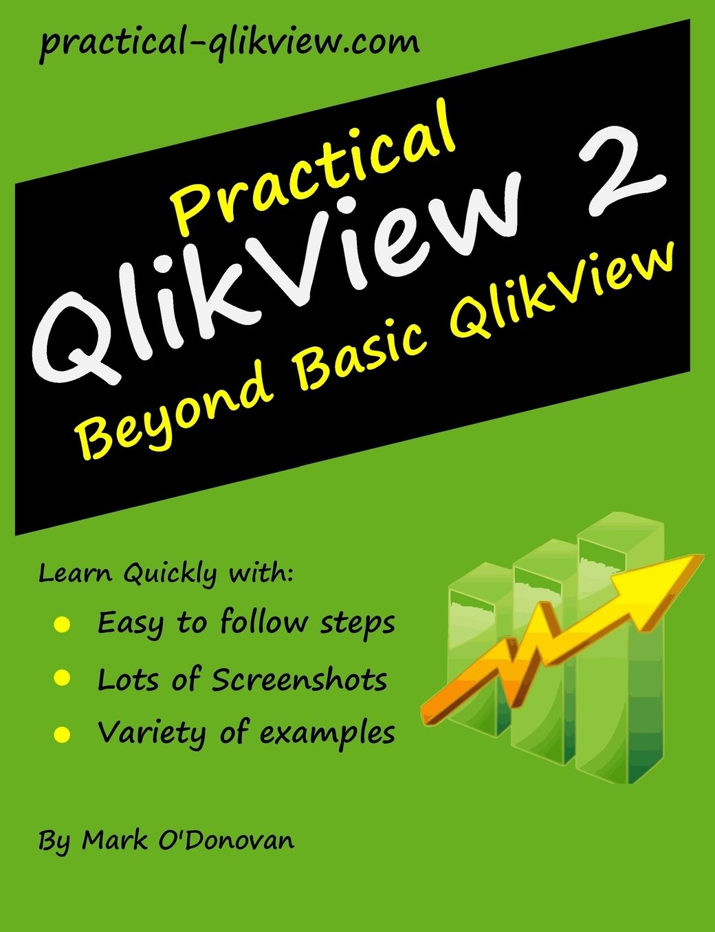 Practical QlikView 2 - Beyond Basic QlikView