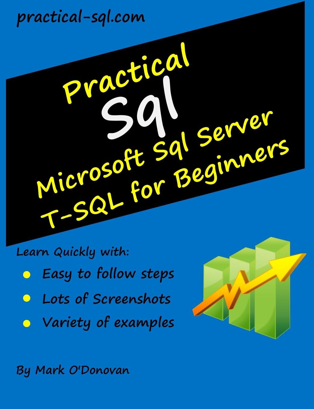 Practical Sql: Microsoft Sql Server T-SQL for Beginners
