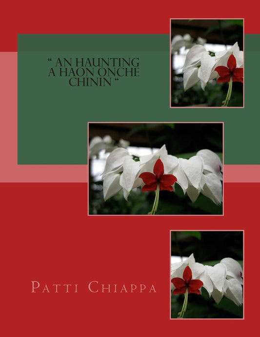" An haunting a hAon Onche Chinin "