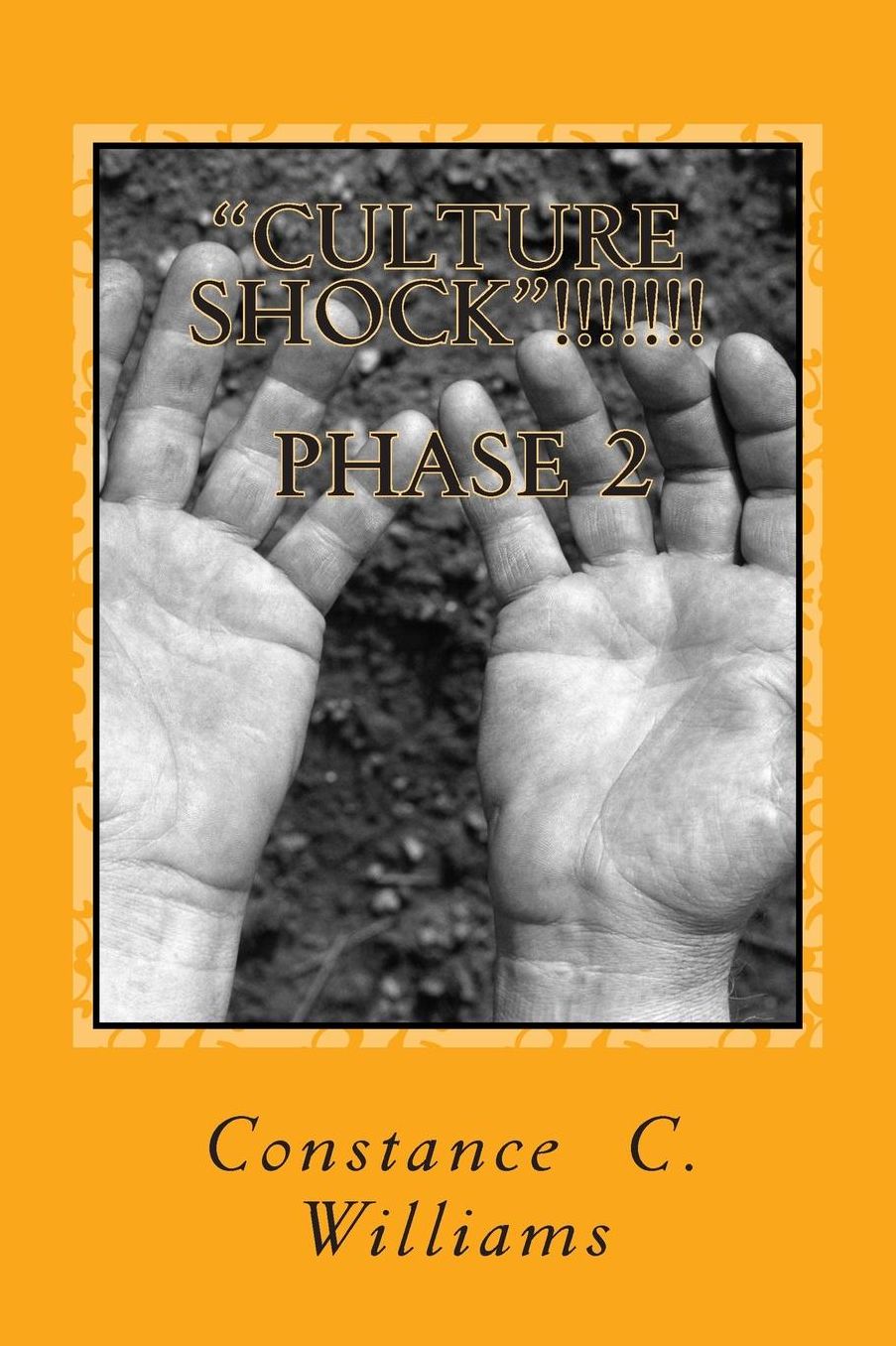 "Culture Shock: !!!!!!! Phase 2: The Wooden Spoon Effect
