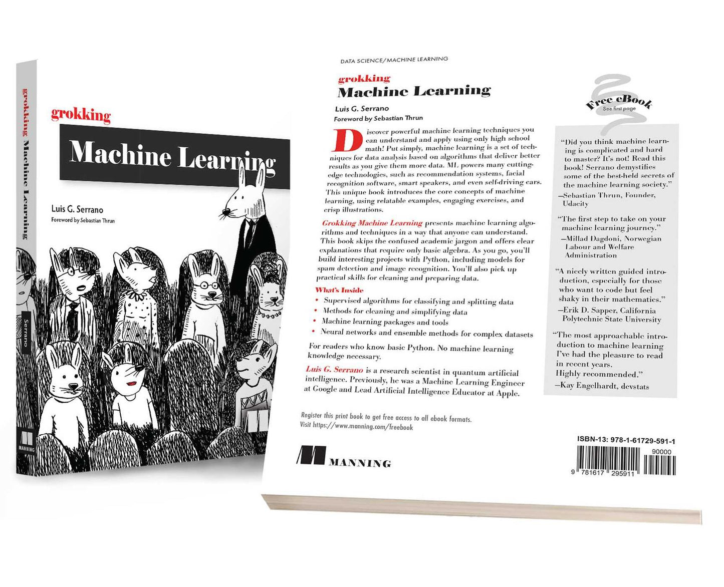 Grokking Machine Learning