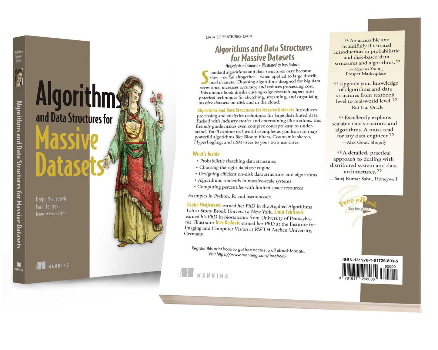 Algorithms and Data Structures for Massive Datasets