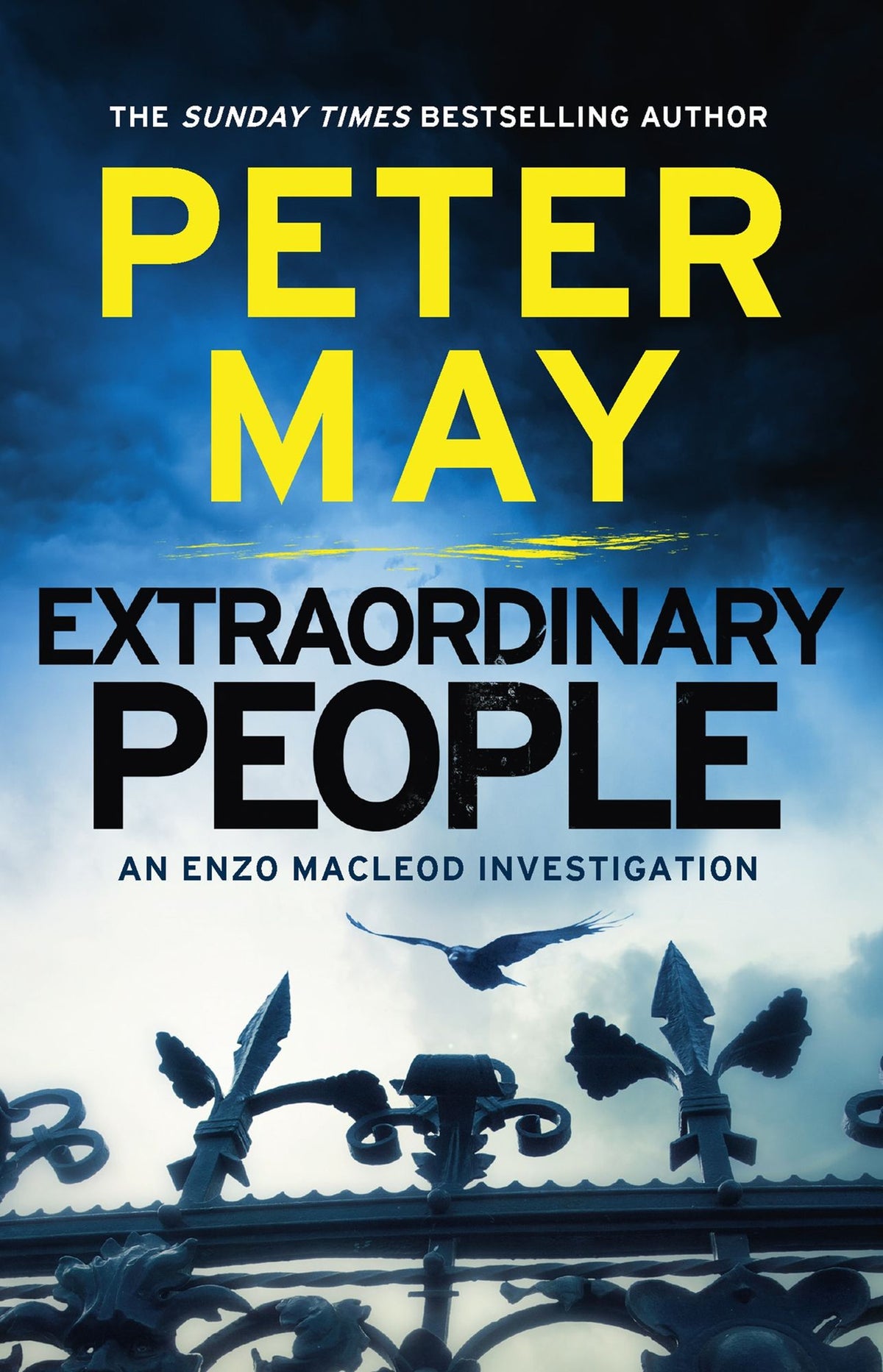 Extraordinary People (Enzo Files Series #1)
