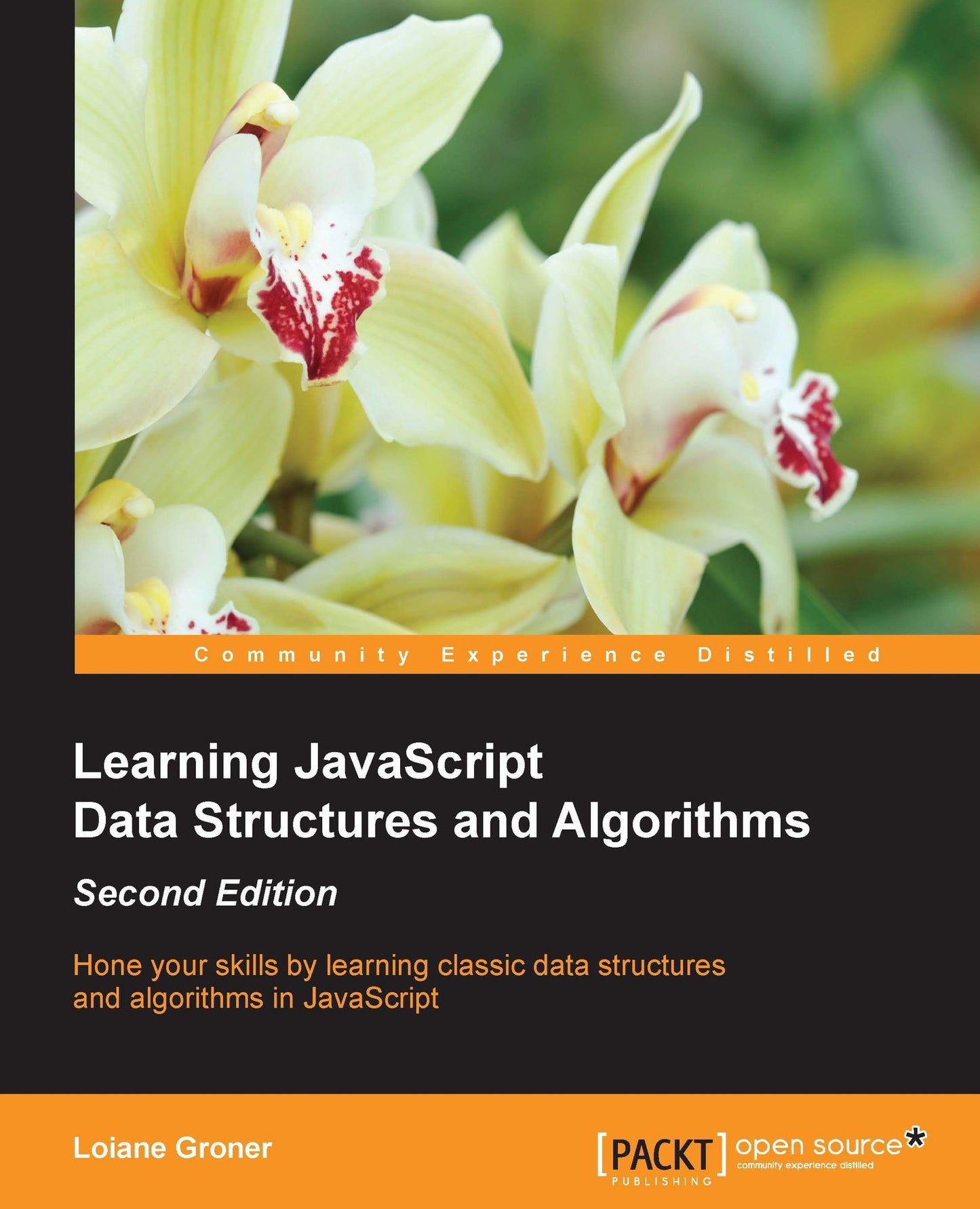 Learning JavaScript Data Structures and Algorithms: Hone your skills by learning classic data structures and algorithms in JavaScript