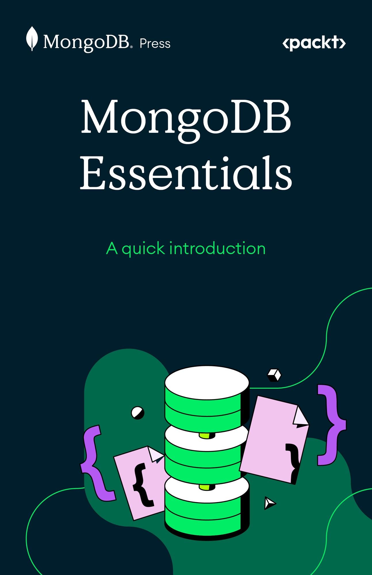 MongoDB Essentials: A quick introduction