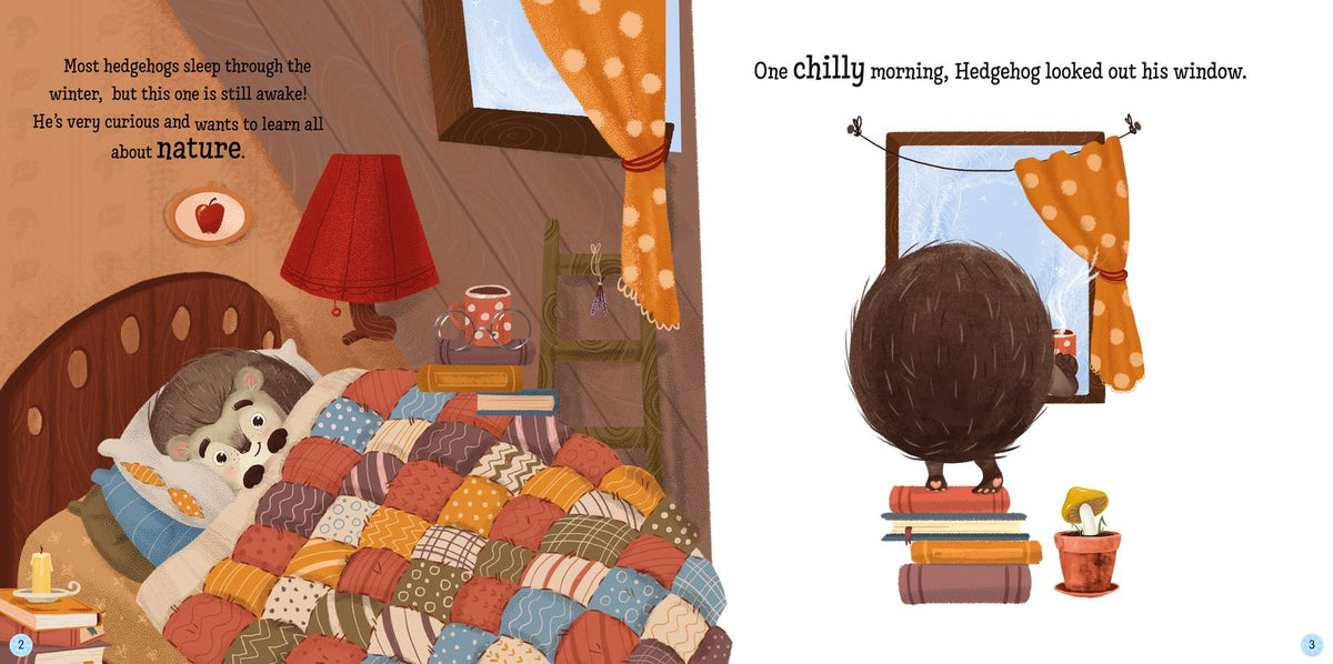 Hedgehog's Home for Winter Paperback Book