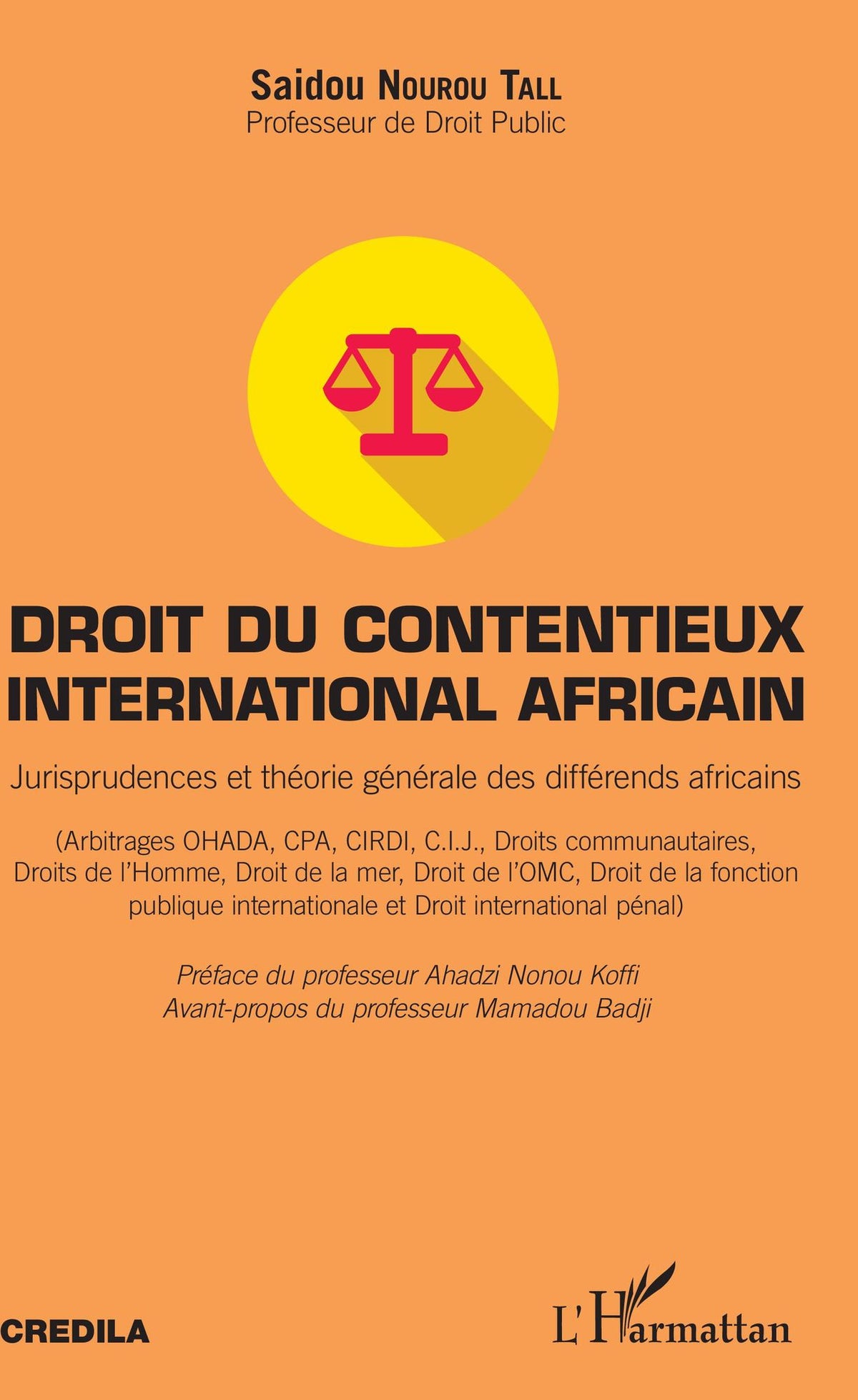 Droit du contentieux international africain: Jurisprudences et théorie générale des différends africains