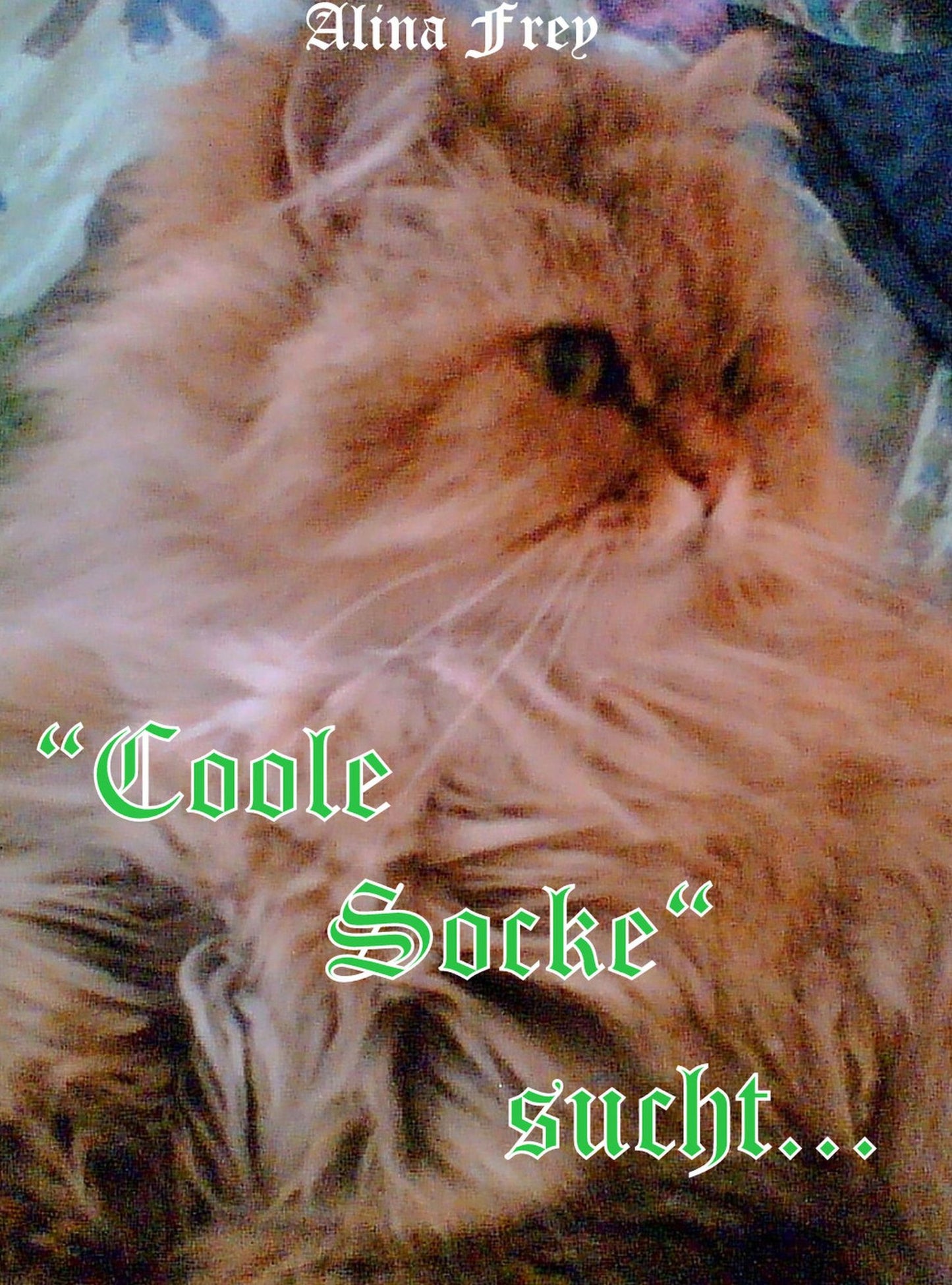 "Coole Socke" sucht...: Ein neues Zuhause