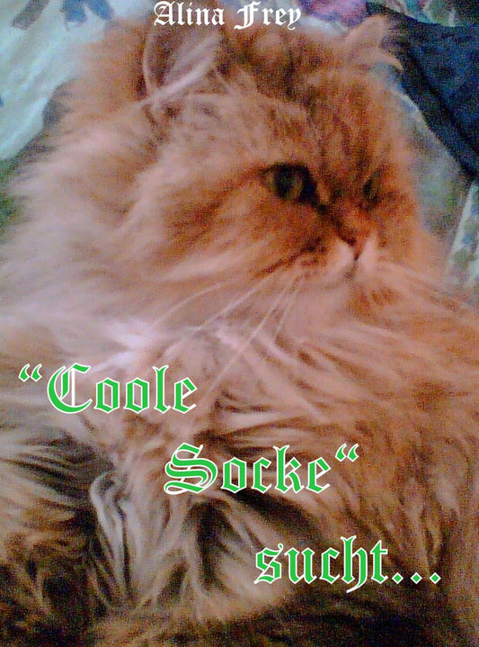 "Coole Socke" sucht...: Ein neues Zuhause