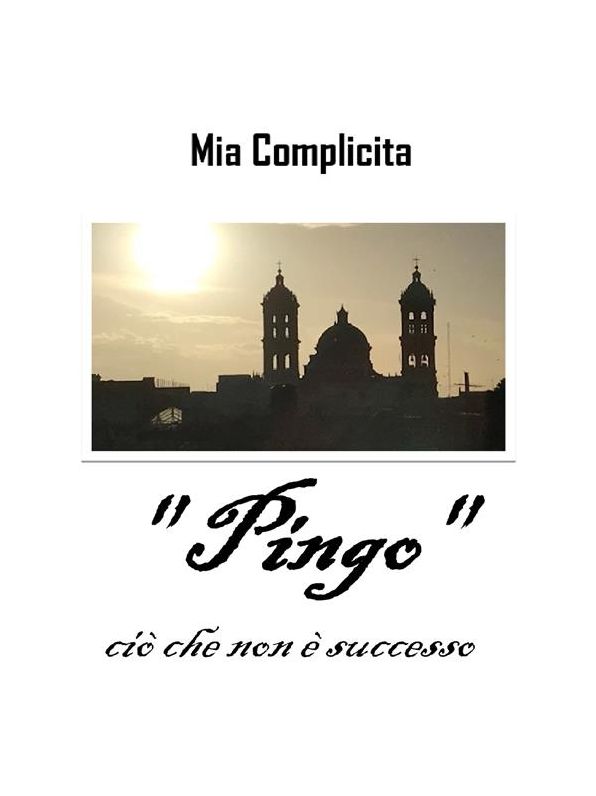 " Pingo ": cio che non e successo