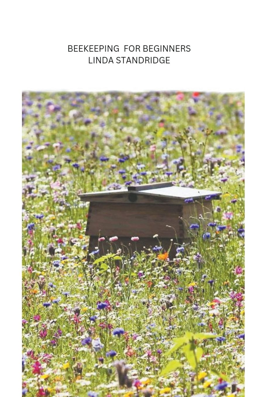 Beekeeping for Beginners
