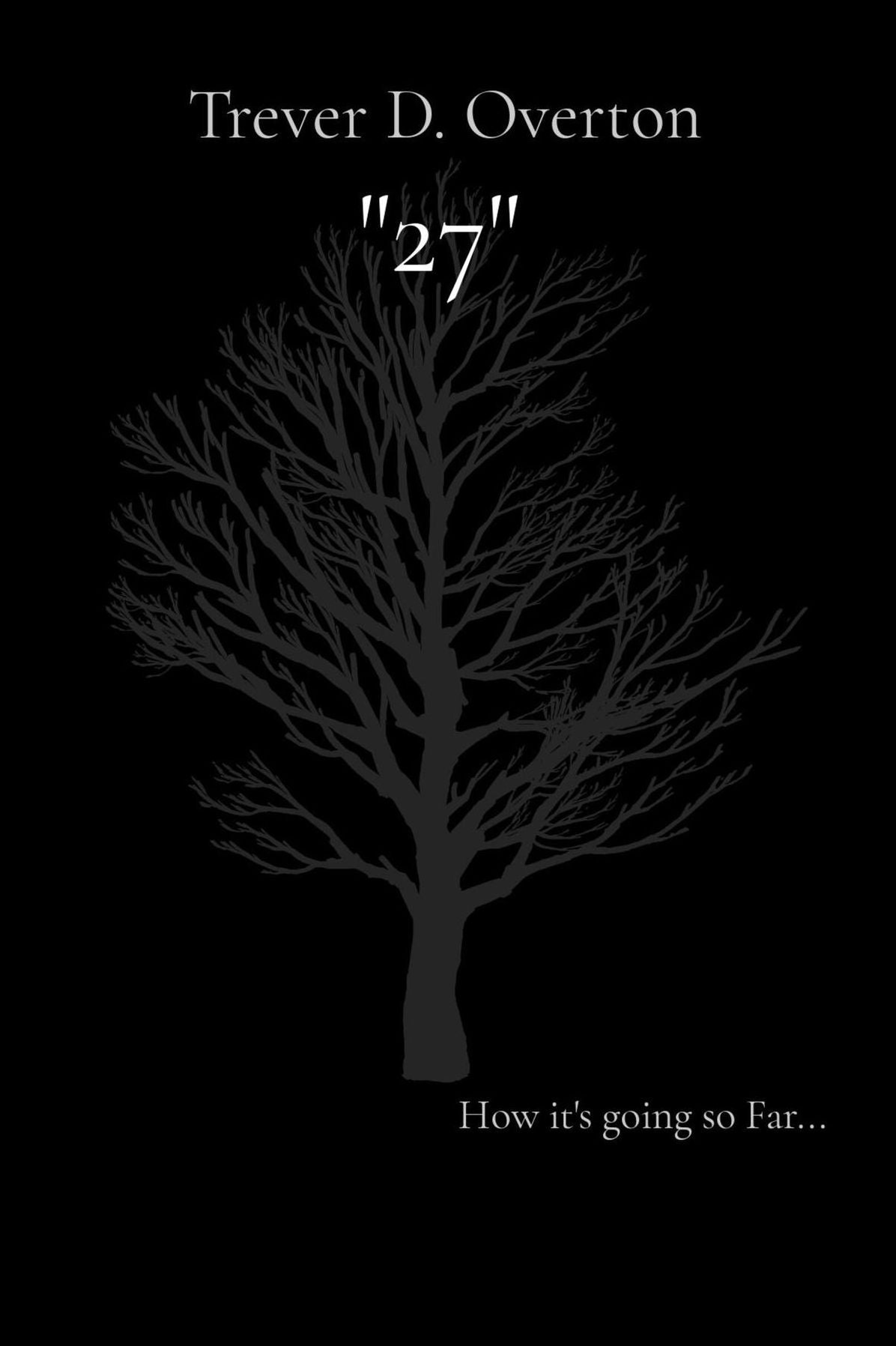 "27": How it's going so Far...