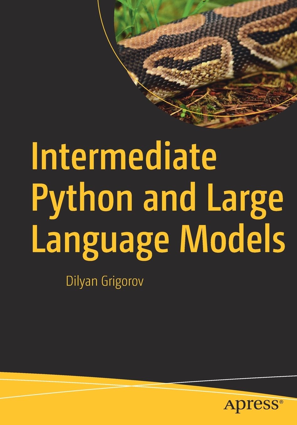 Intermediate Python and Large Language Models